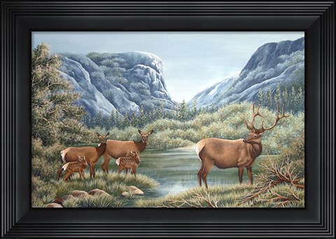 Framed High Meadow Yosemite Print