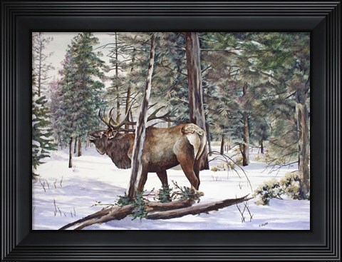 Framed In The Shadows Print