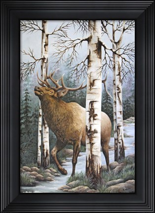 Framed Majestic Elk Print