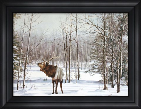 Framed Valley Of The Utes Print