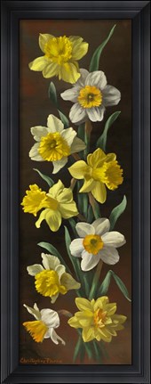 Framed Summer Splendor Print