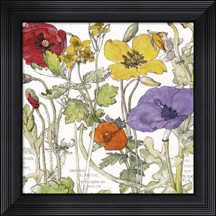 Framed Ambrosia 1 Print