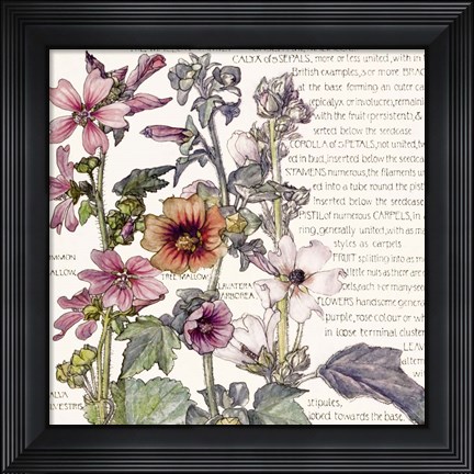 Framed Ambrosia 4 Print