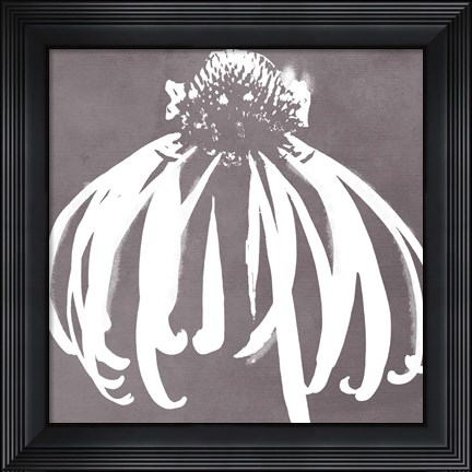 Framed Cone Flower Print