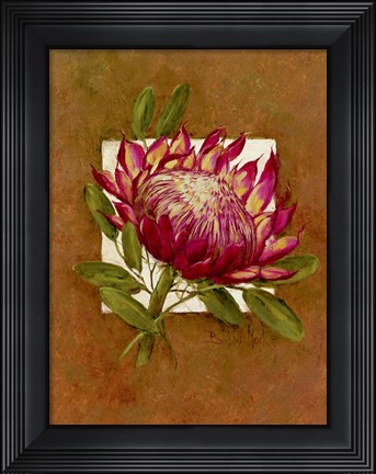 Framed Tropical Squares 3 Print