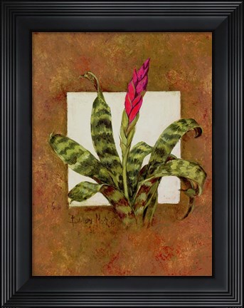 Framed Tropical Squares 1 Print