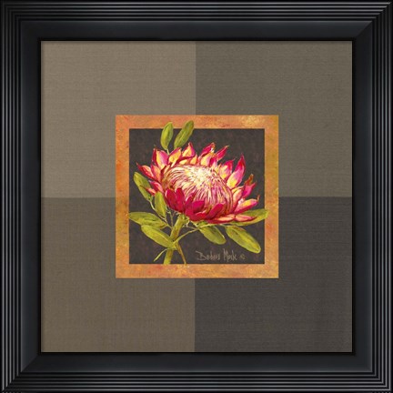 Framed Tropical Treasures I Print