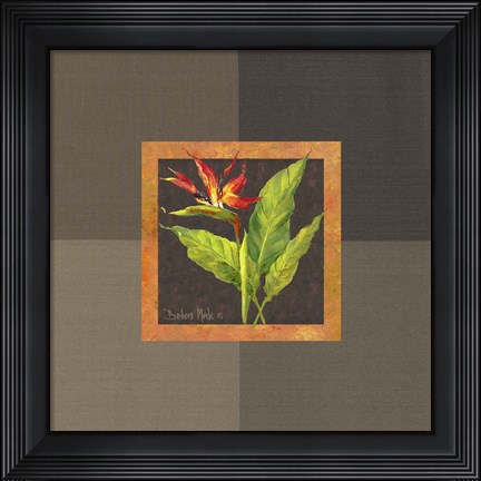 Framed Tropical Treasures II Print