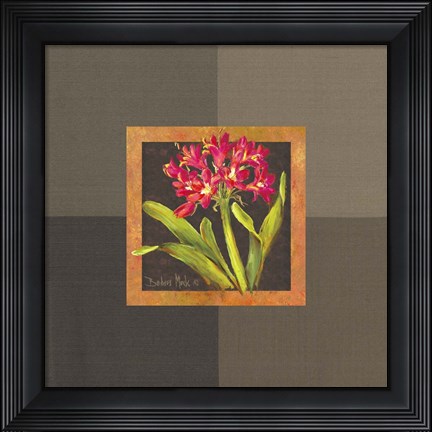 Framed Tropical Treasures IV Print