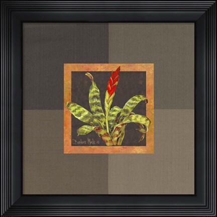 Framed Tropical Treasures III Print