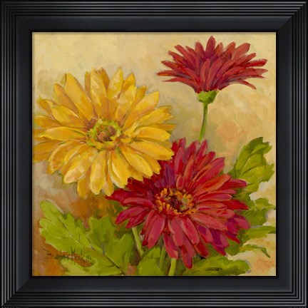 Framed Gerber Daisies II Print
