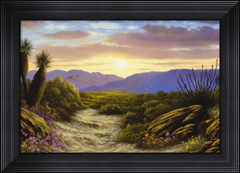Framed Desert Splendour Print