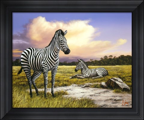 Framed Zebras Print