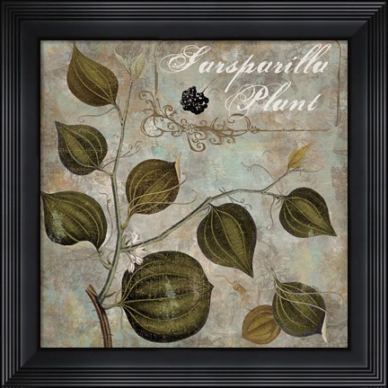 Framed Flavor Blossoms I Print