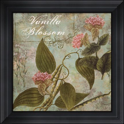 Framed Flavor Blossoms II Print