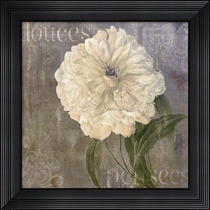 Framed Douces Pensees Print