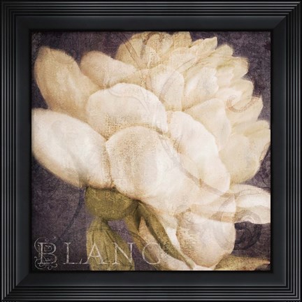 Framed Coleurs Blanc Print