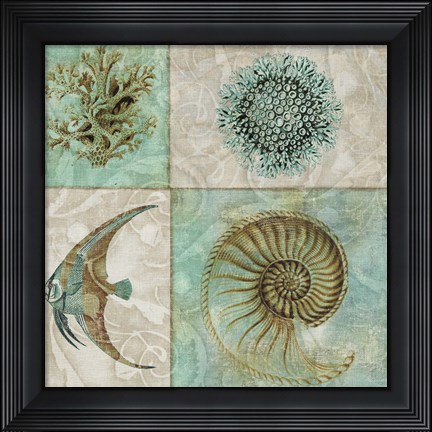Framed Sea Life II Print