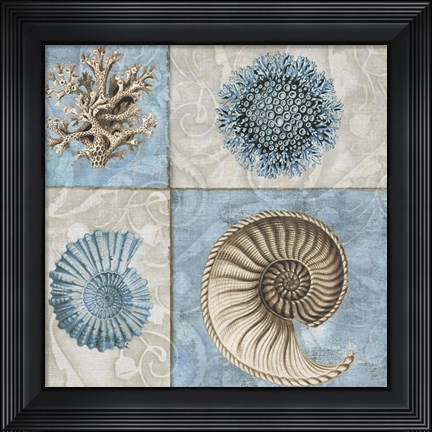 Framed Sea Life VI Print