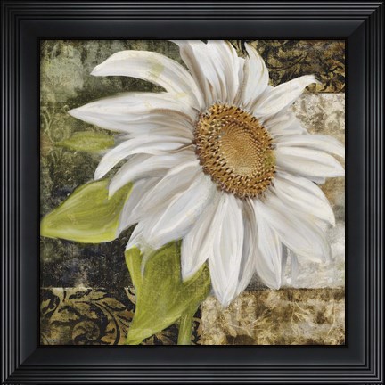 Framed White Sunflower II Print