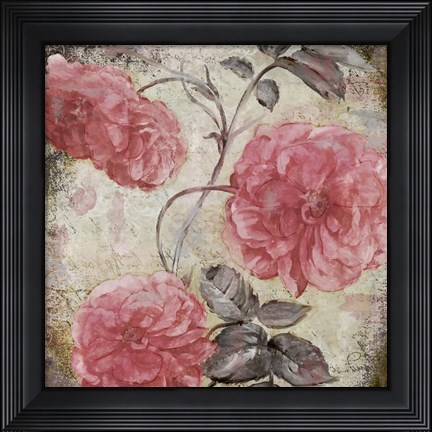 Framed Blush II Print