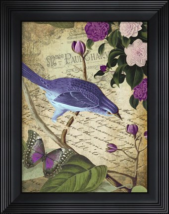 Framed Petals and Wings II Print