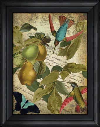 Framed Petals and Wings III Print