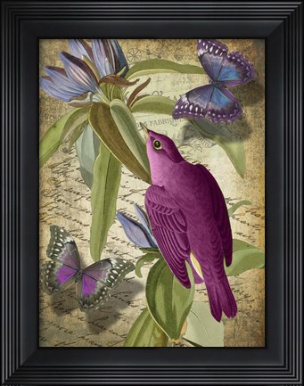 Framed Petals and Wings VI Print