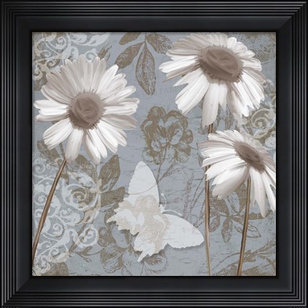 Framed Daisy Recital II Print