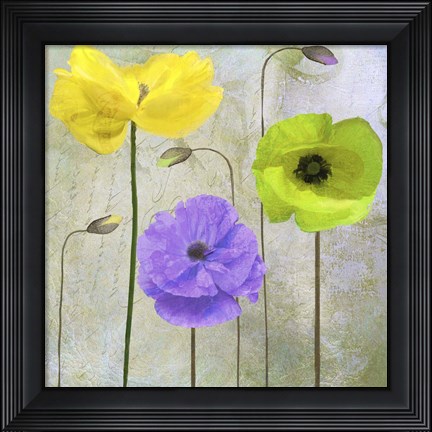 Framed Garden Shimmer II Print