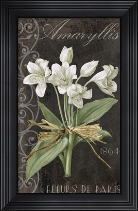 Framed Fleurs de Paris I Print