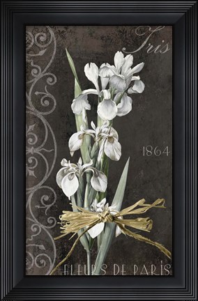 Framed Fleurs de Paris II Print