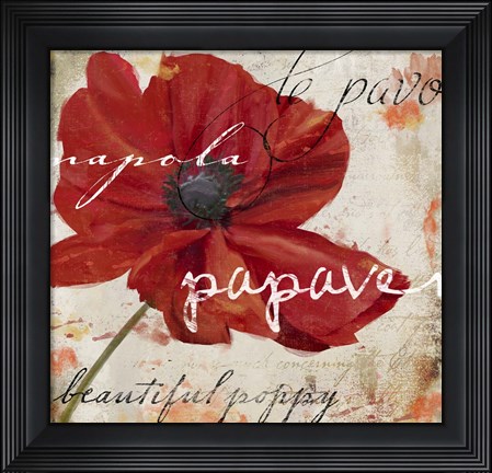 Framed Le Pavot I Print