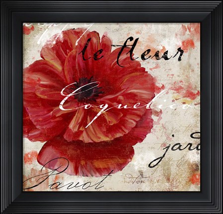 Framed Le Pavot II Print