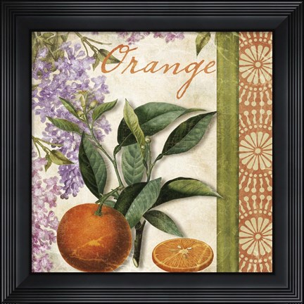 Framed Summer Citrus II Print