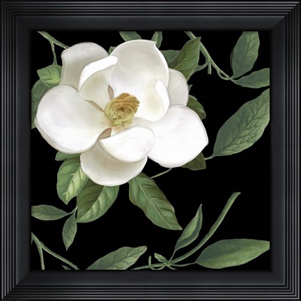 Framed Sweet Magnolias II Print