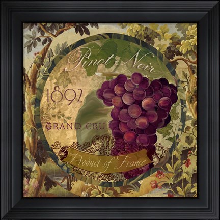 Framed Wines of France II Print
