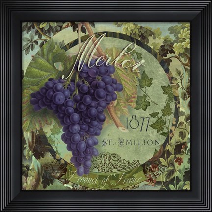 Framed Wines of France III Print