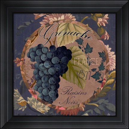 Framed Wines of France IV Print