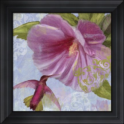 Framed Humming Hibiscus I Print