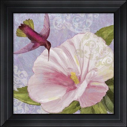Framed Humming Hibiscus II Print