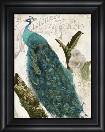 Framed Les Paons I Print