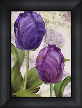 Framed Parrot Tulips I Print