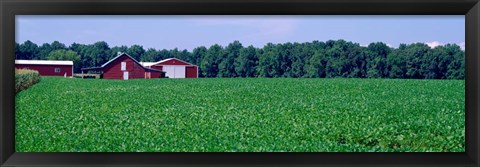 Framed Green Field with Barn, Maryland Print