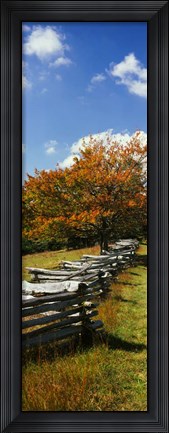 Framed Fence in a Park, Blue Ridge Parkway, Virginia Print