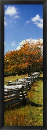 Framed Fence in a Park, Blue Ridge Parkway, Virginia Print