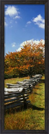Framed Fence in a Park, Blue Ridge Parkway, Virginia Print