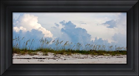 Framed Reed Grass on Beach, Great Exuma Island, Bahamas Print