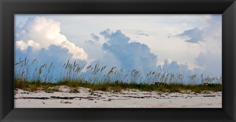 Framed Reed Grass on Beach, Great Exuma Island, Bahamas Print