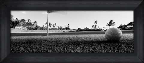 Framed Close Up Golf Ball And Hole, Hawaii Print